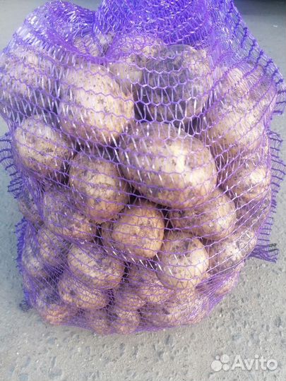 Продам картофель