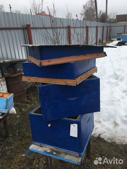 Ульи для пчел