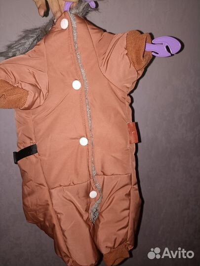 Комбинезон для маленькой собаки