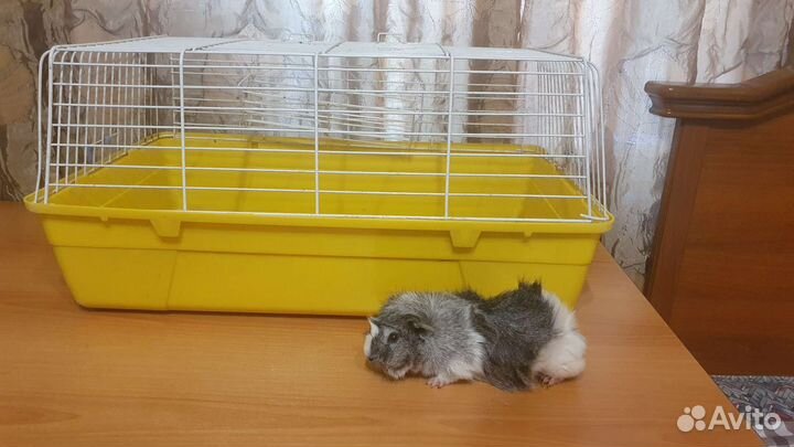 Клетка для грызунов