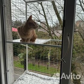 Балкон для кошки, вольер