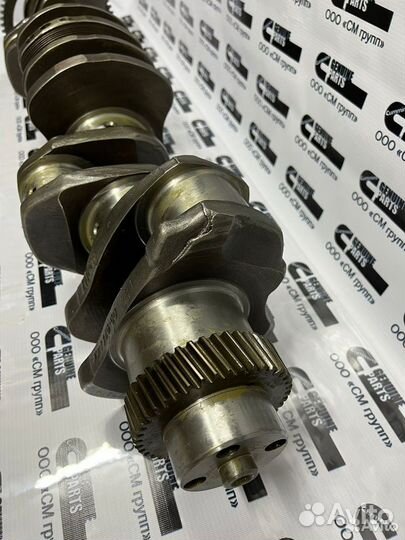 Вал коленчатый (коленвал) Cummins ISLe, QSC, ISL