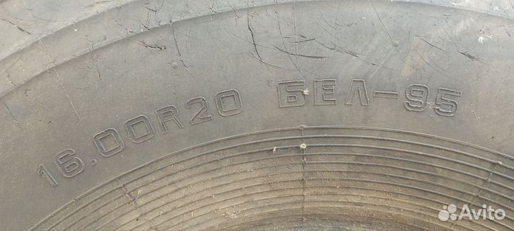 Шина 16R20 Белшина