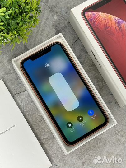 iPhone Xr, 128 ГБ