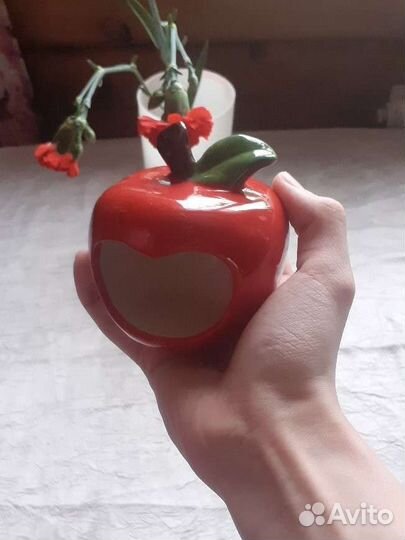 Товары для грызунов