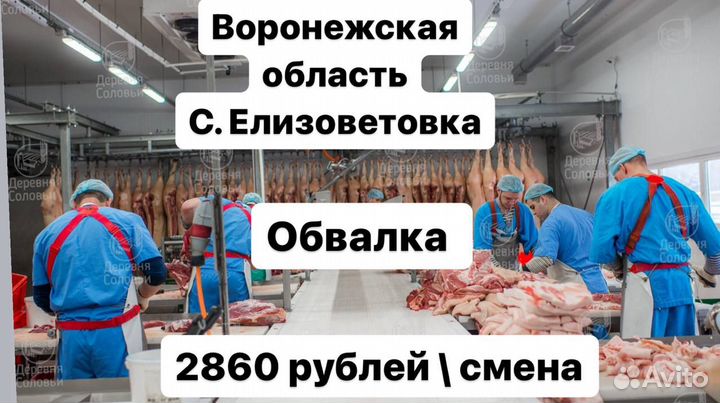 Разнорабочие на мясокомбинат Вороонежская обл