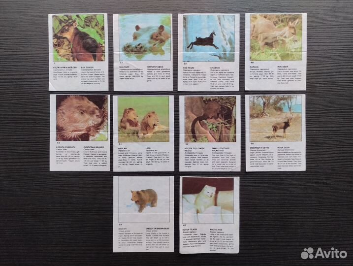 Вкладыши от жвачки dany, pembo, cola и другие