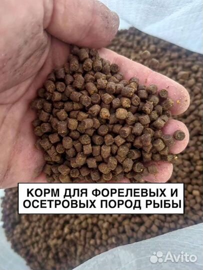 Корм для рыб
