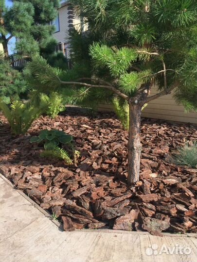 Щепа мульча