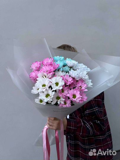 Ромашки. Хризантема ромашковидная