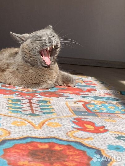 Коврики для йоги / Новые / 1.5 мм трэвел