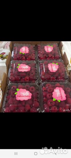 Экзотическая малина