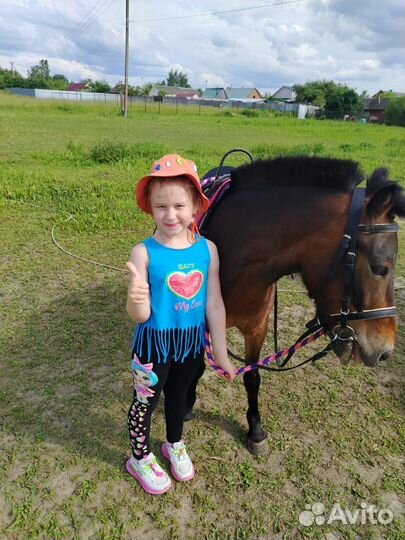 Продам пони