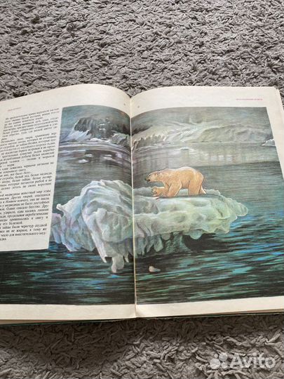 Книга Ч.Петреску «Фрам полярный медведь»