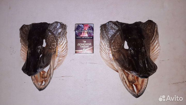 Чучело рыбы