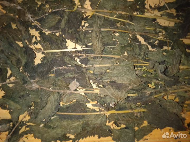 Сухие травы, ягоды, веточки