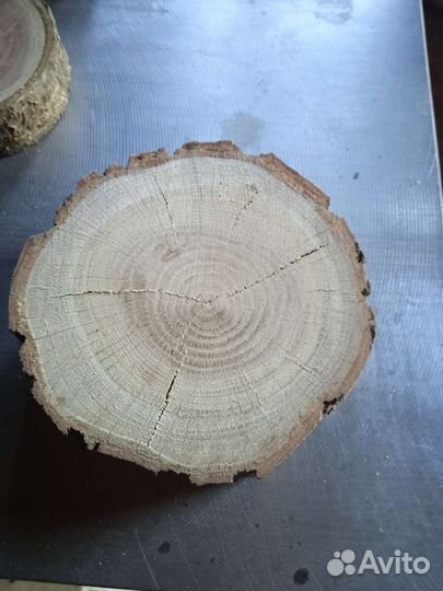 Спилы вишня