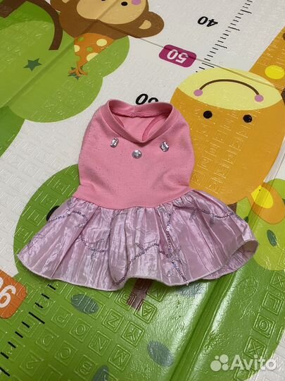 Одежда для маленьких собак