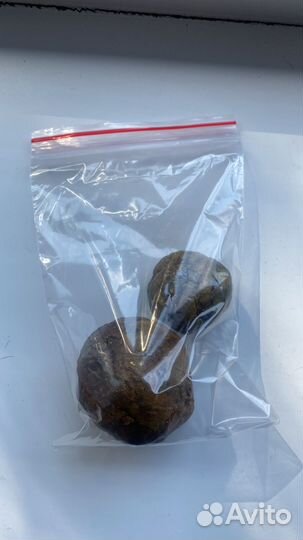 Прополис пчелиный