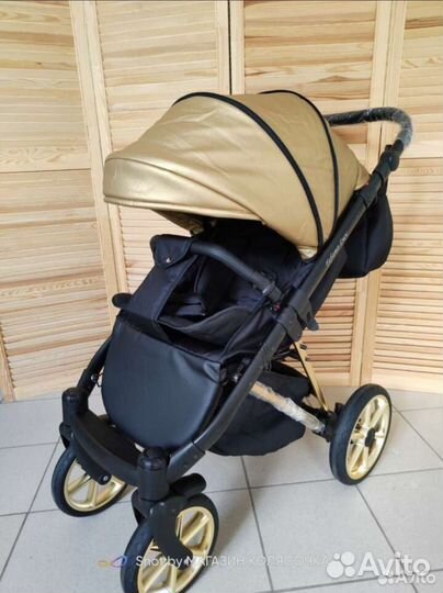Прогулочная коляска Ray Tefano Lux
