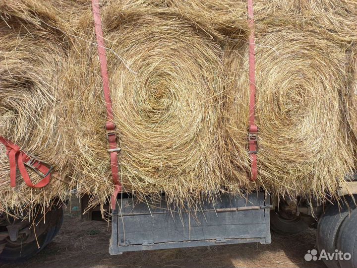 Сено зелёное в рулонах 2023г