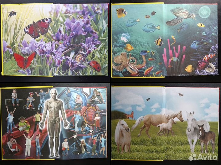 Детская энциклопедия