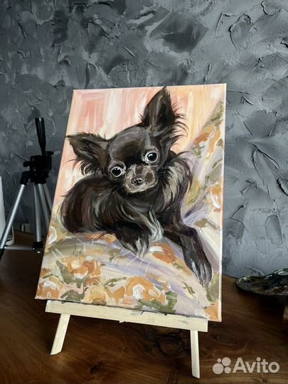 Картина портрет чихуахуа
