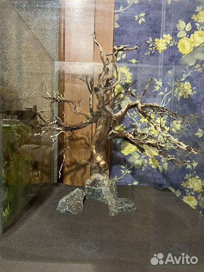 Коряга дерево для аквариума