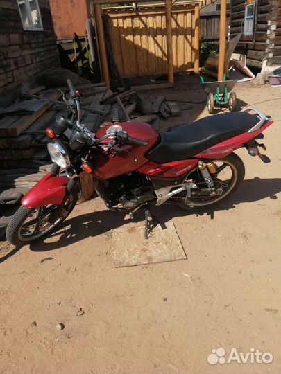 Рэйсер магнум 250 кубов