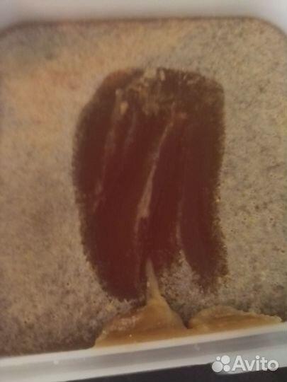 Мед гречишный. Цветочный