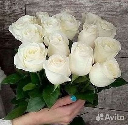 Высокие розы 150 160 170 180 190см доставка Москва