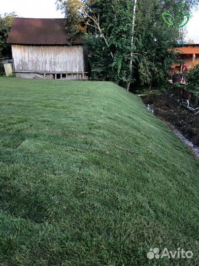 Рулонный газон под ключ