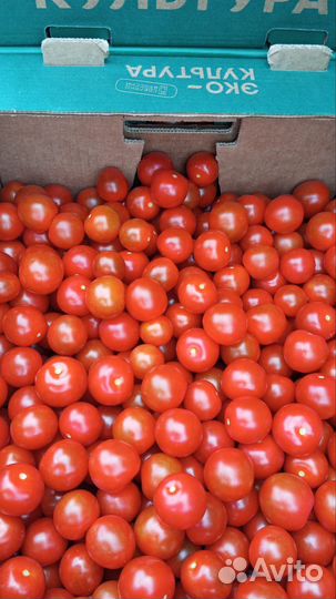 Рабочие в теплицу