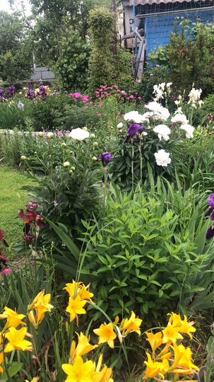 Дача 29,2 м² на участке 7,8 сот.