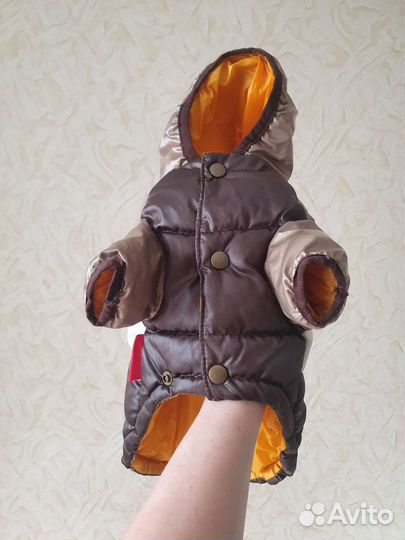 Одежда для маленьких собак