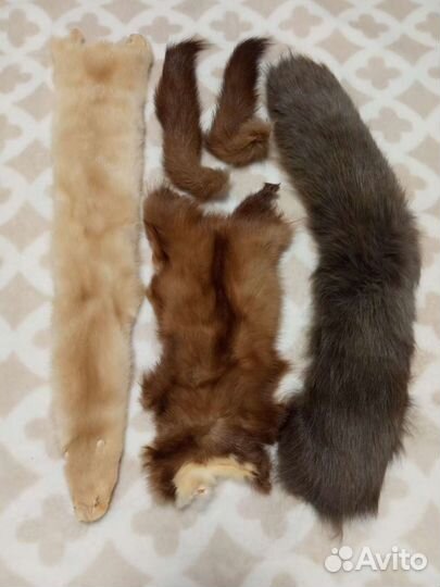 Шкурки животных
