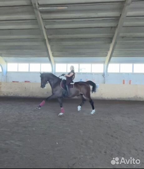 Средний Приз. Элементы Большого