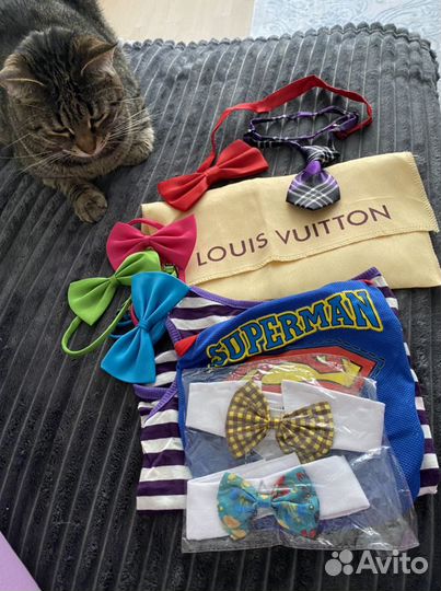 Боди, бабочки, воротники, галстуки для питомцев