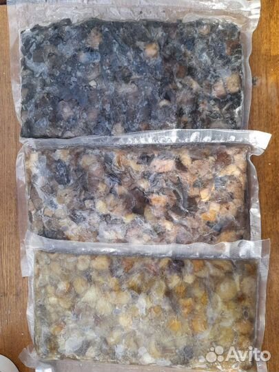 Грибы лисички, белые