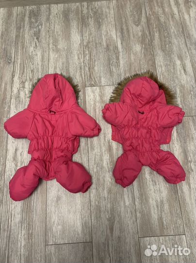 Одежда для собак мелких пород