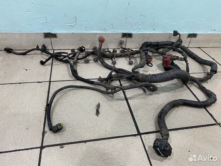 Проводка двигателя Nissan tiida C11