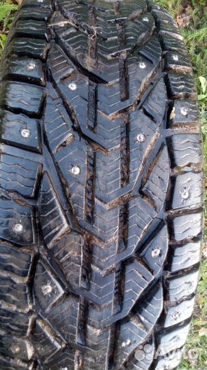 Tigar Ice 195/95 R15