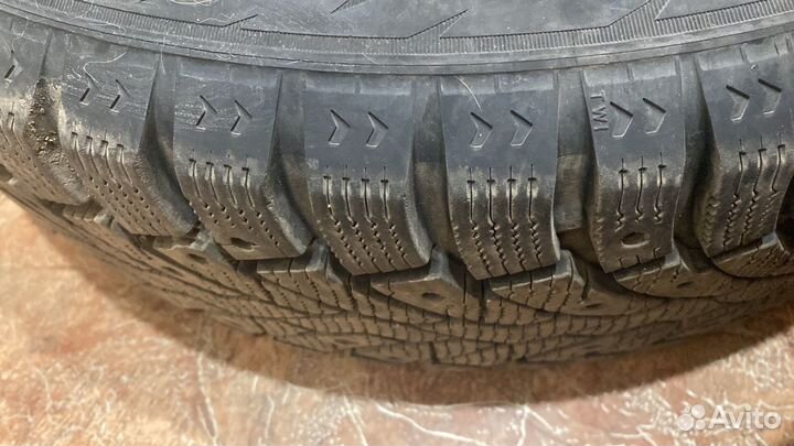 Foman Polar Bear 16/55 R16