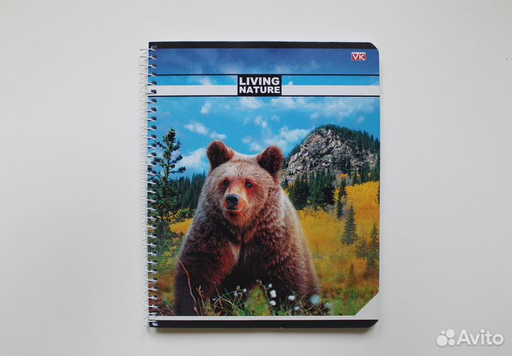 Тетрадь на кольцах 96 листов