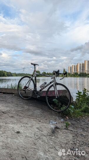 Cinelli Deus Ex Machina 00х Шоссе на Campagnolo