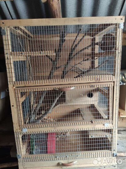 Клетка для шиншиллы