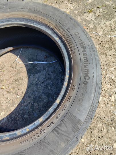 Continental ContiPremiumContact 5 215/60 R16 95H