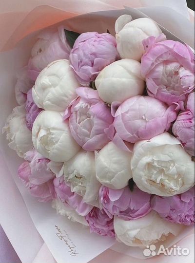 Пионы, цветы от производителя. Работаем 24 часа