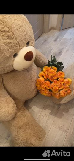 Плюшевый медведь