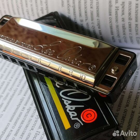 Lee Oscar (C) Paddy Richter